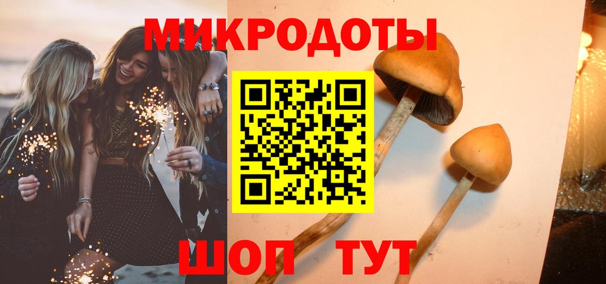 Псилоцибиновые грибы Psilocybine cubensis  Вход с VPN  Горно-Алтайск 