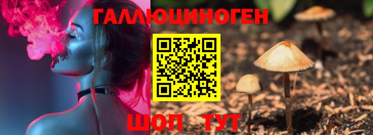 Псилоцибиновые грибы ЛСД Горно-Алтайск