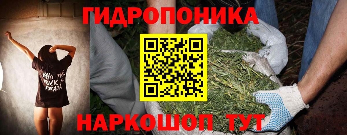 Бошки марихуана OG Kush Горно-Алтайск